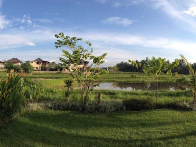 Panorama